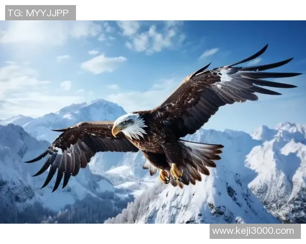 翱翔天际的王者：探秘老鹰的生存之道与自然魅力